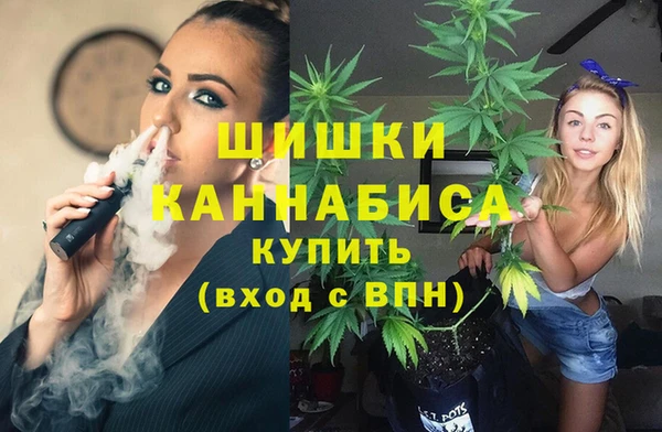 ПСИЛОЦИБИНОВЫЕ ГРИБЫ Баксан