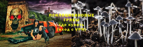 ПСИЛОЦИБИНОВЫЕ ГРИБЫ Баксан